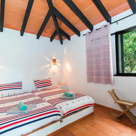 Pedras D'el Rei Cozy By Trip2portugal *